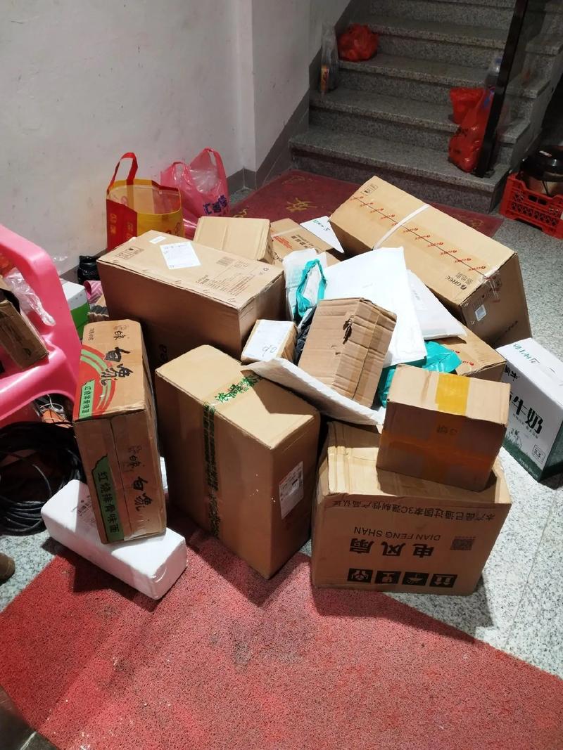 快递发货了没有单号