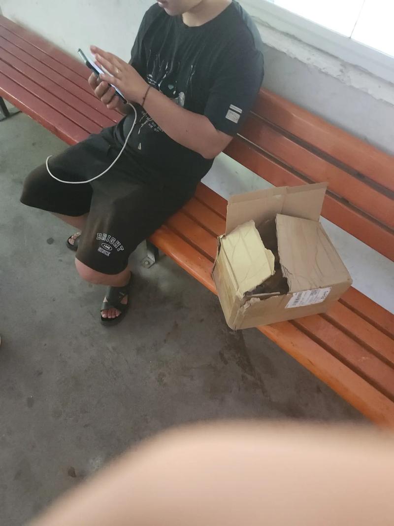 中通怎么用手机号查快递单号 中通怎么用手机号查快递单号