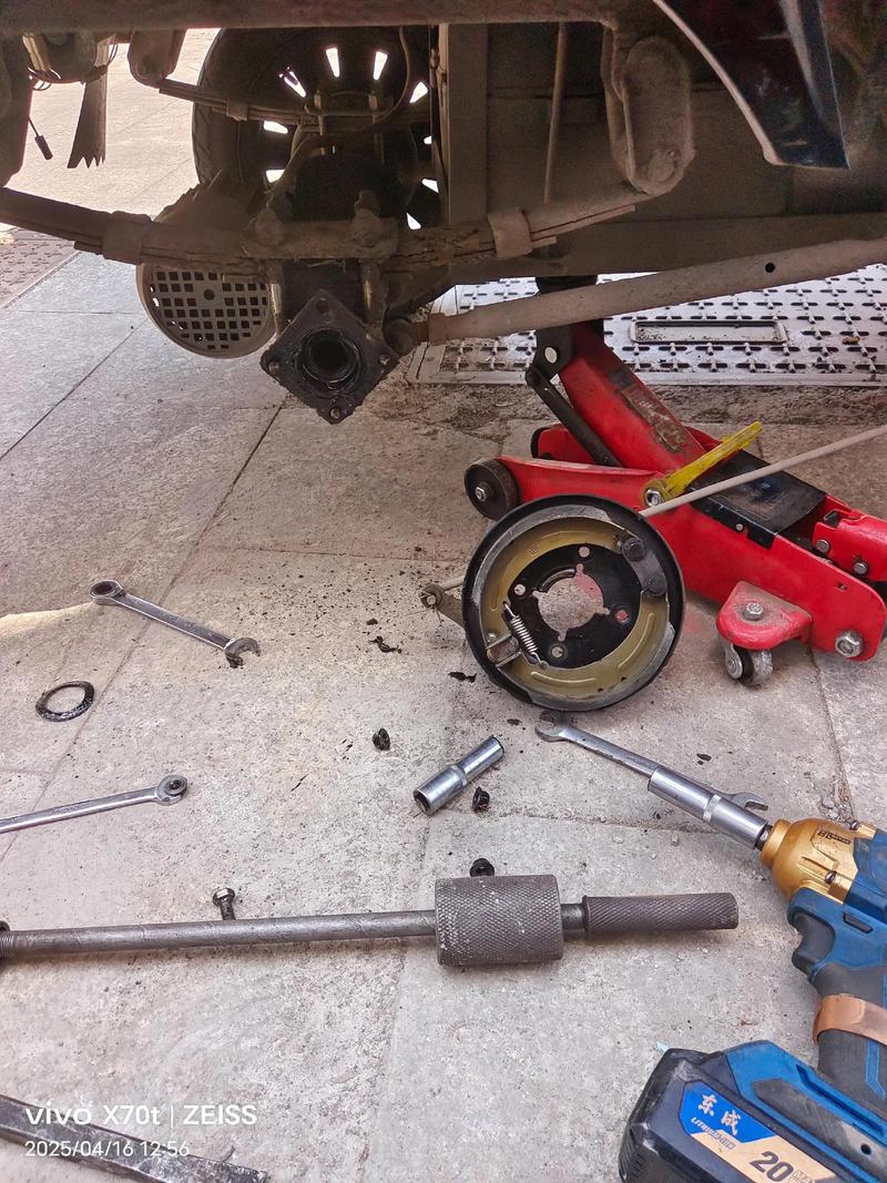 旅游卫视美丽俏佳人