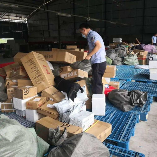 农村快递店运营指南 如何成功开启并管理