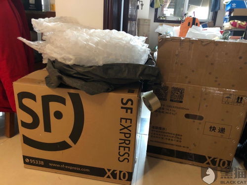 疫地恋是什么意思