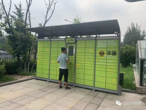 顺丰快递资费价格查询