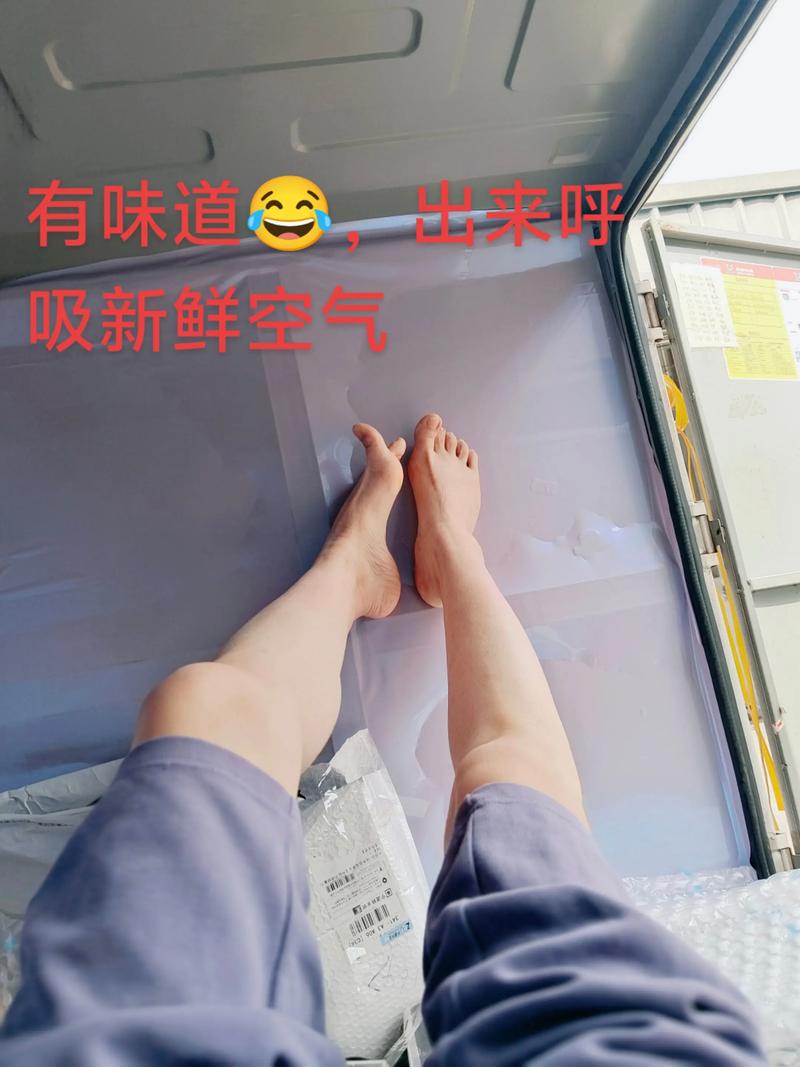 中国物流网信息查询 中国物流网信息查询