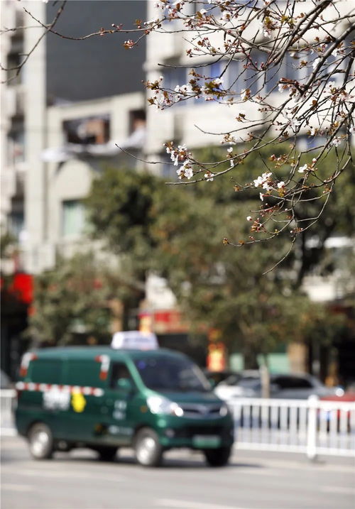 泽连斯基手持iPhone前线自拍惹争议 数据证实时效战略武器