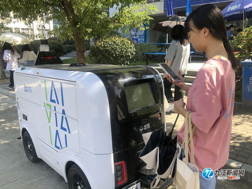 纯电动物流车价格表