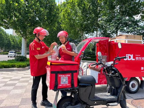 物流公司招聘岗位表