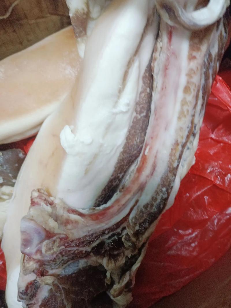 <b>什么是快递单号单号和运单号相同吗</b>