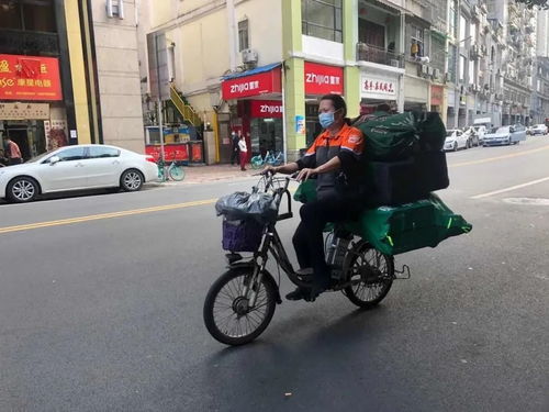 国内物流业青睐高端进口车型