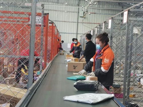 快递业发展政策出台 到2025年规模要居世界首位