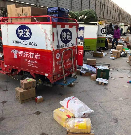 国际货运代理的性质