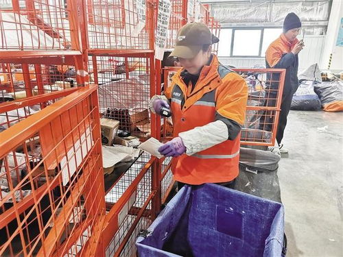 菜鸟发布年货包裹排行榜 上海北京广州消费