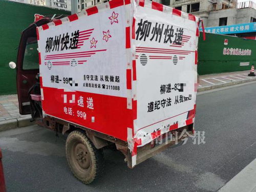 林峰的老婆张馨月学历