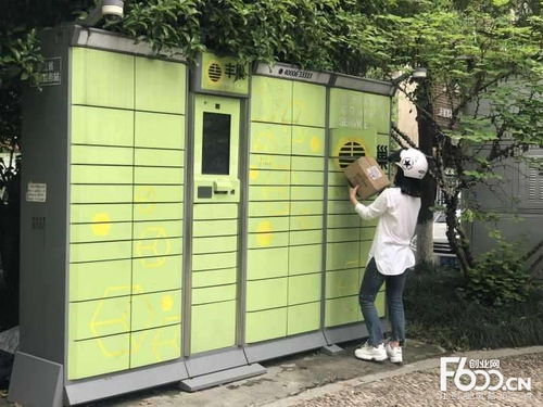 dhl主营业务包括哪些