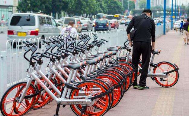 京东快递物流查询怎么查不到