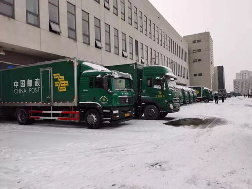 威海海联国际货运代理有限公司