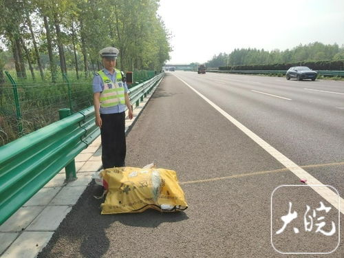 央视曝光20倍暴利假陈皮 你花千元买的十年陈皮可能只值70元