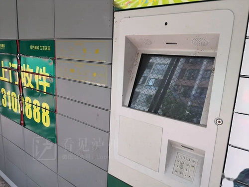 邮政国内小包填写哪个快递