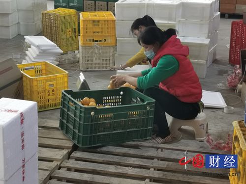 圆通快递服务质量如何 快递时效可靠吗