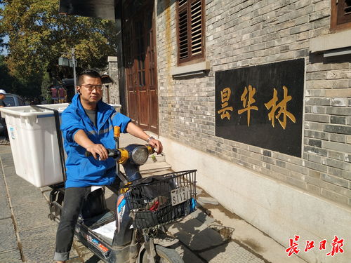 全球海运费用概览 如何了解国际海运价格