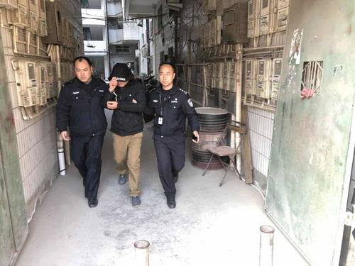 嘉诚国际物流如何保障运输效率与服务品质 嘉诚国际物流如何保障运输效率与服务品质
