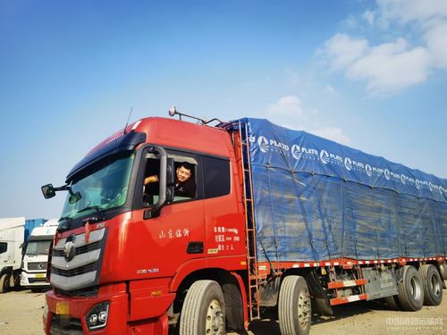 2025海运费6月走势 2025海运费6月走势