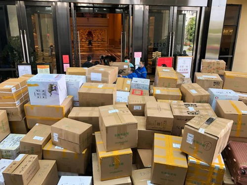 快递单号网上追寻能造假吗