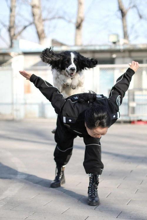 2025年冷链物流市场规模将达4700亿元