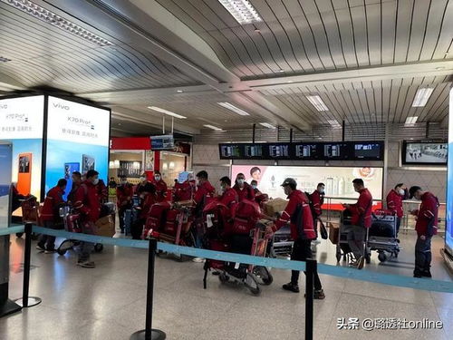 2025年上半年物流运行稳步复苏 物流总额为123.4万