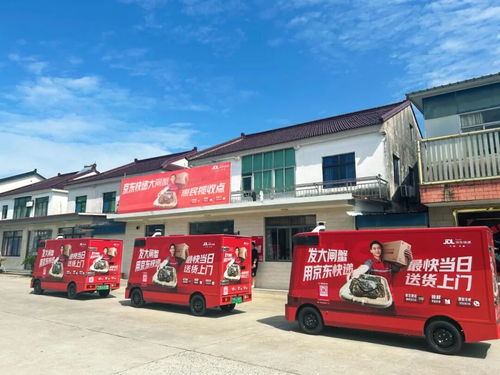 送快递车子要自己买吗