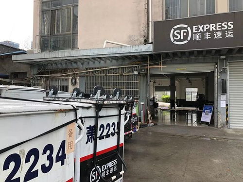 7名大学生携手开发泰快了电商平台 7名大学生携手开发泰快了电商平台