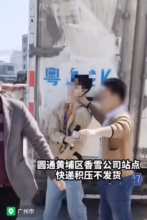 中药材物流隐患多 现代化是出路