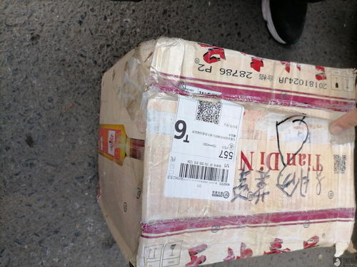 大学物流办理专业是干什么的