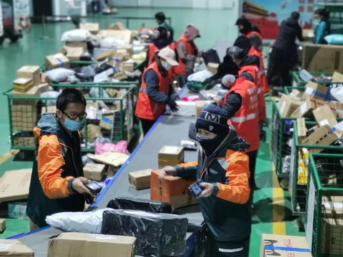 优质物流 如何找到性价比高的物流公司