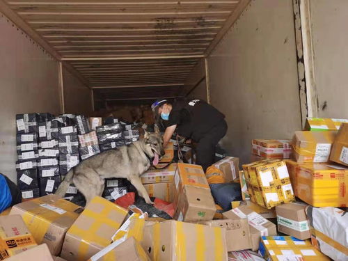 快递员免费放快递柜吗