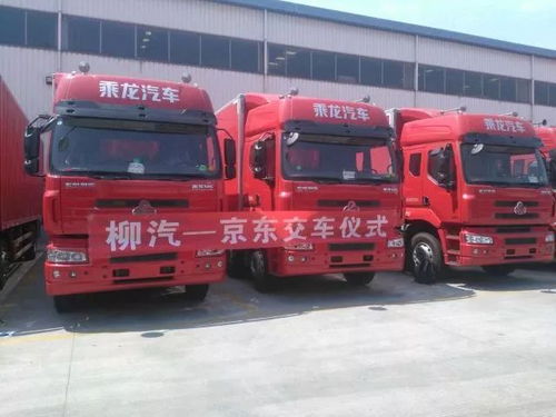 希林娜依个人资料简介