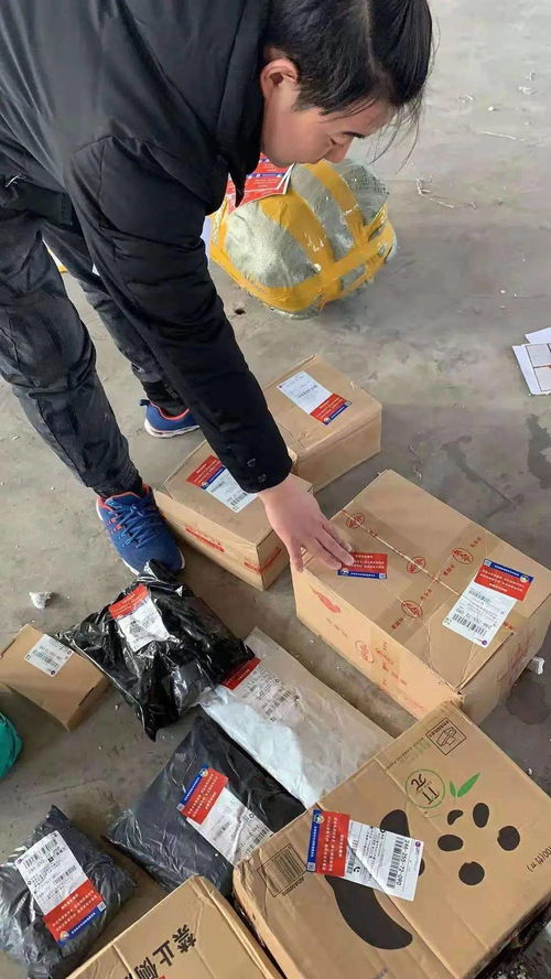 现代物流信息管理体系规划包括哪些进程内容