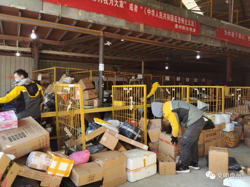 京东订单号查询商品