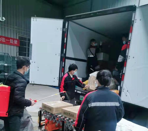 通海冷链物流 如何优化运营降低成本