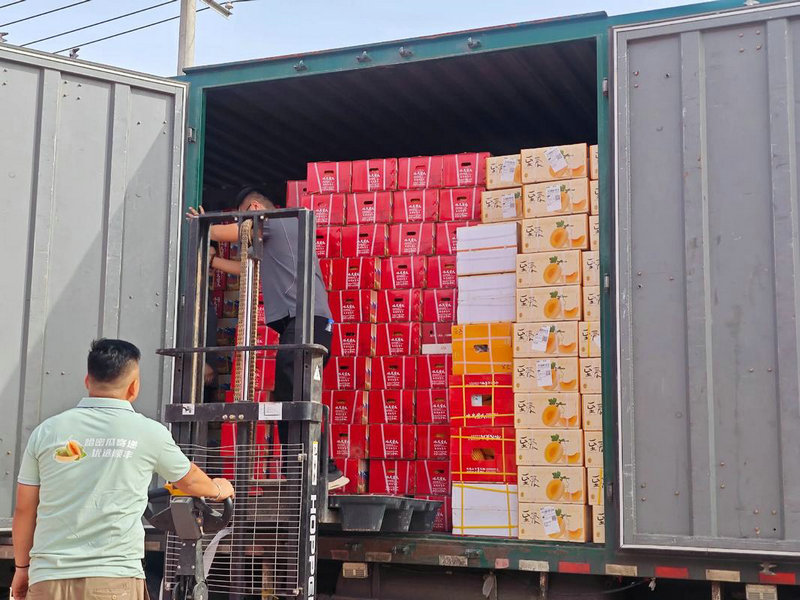 物流专业在大学辅修什么好找作业