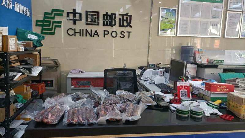 韵达快递查询单号地址