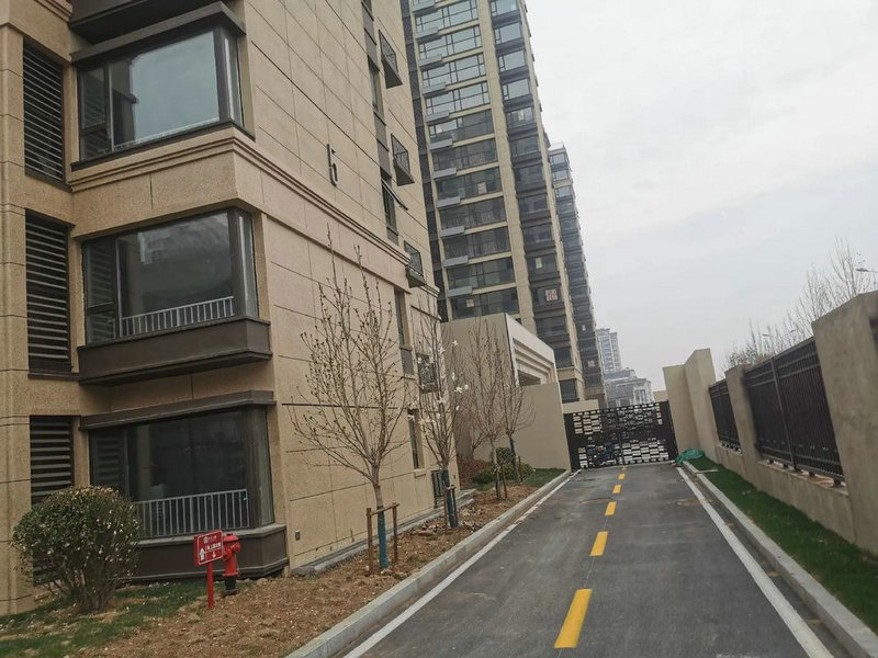 全球物流商都在为双11加码