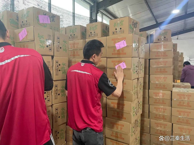 德邦物流在儋州的服务体验如何