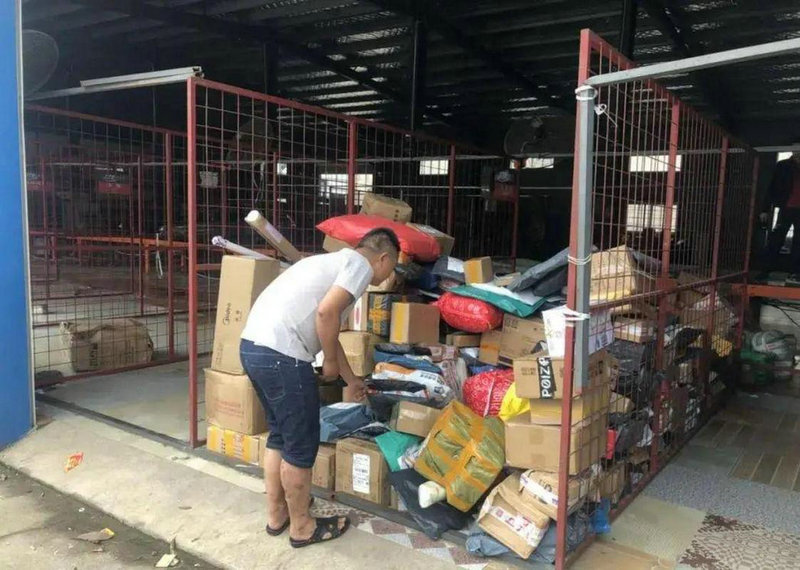 游客被峨眉山猴子围扑咬伤 景区回应