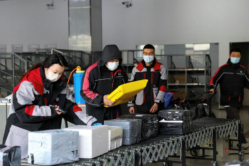 d速快递单号查不到