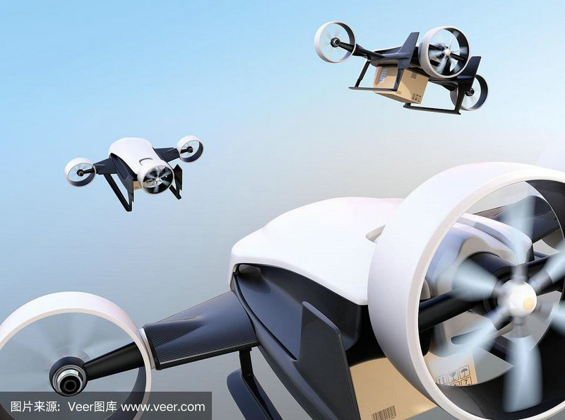 狗狗能否通过快递运输 宠物快递可行性