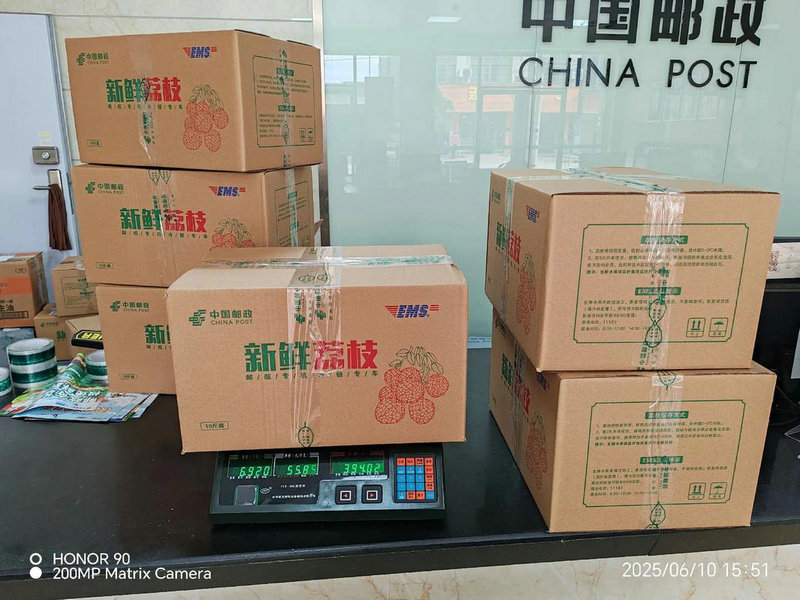 龙波物流 稳扎稳打争做百年企业