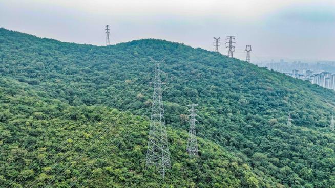 林依晨大学(林依晨大学毕业时间)