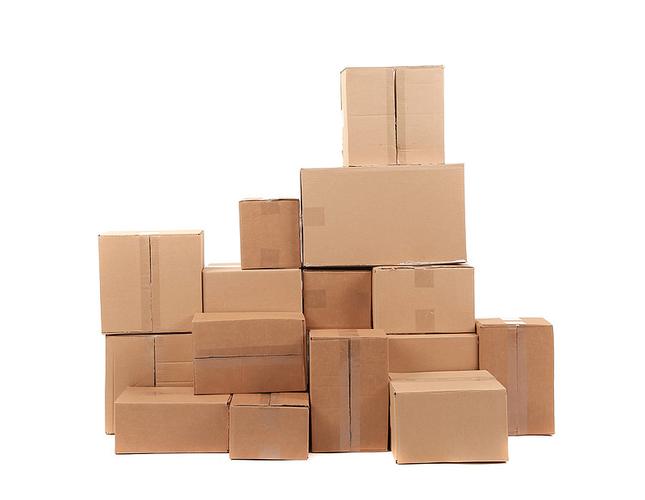 郑渊洁把白客说哭了 郑渊洁把白客说哭了