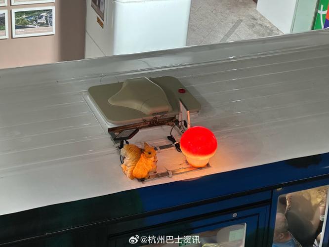 新乡市申通快递电话 新乡市申通快递电话