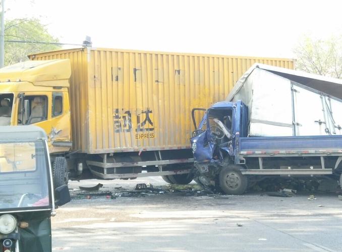 中通快递怎样托运宠物